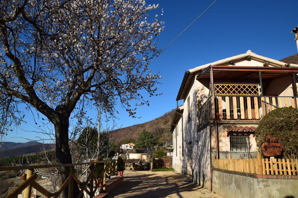Casa Galoppa Trevi Exterior foto